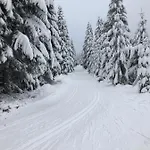 Skrovanova
