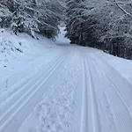 Skrovanova