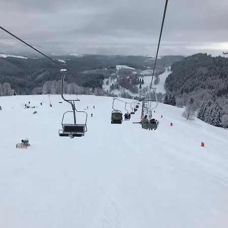アパート Skrovanova Horní Lipová