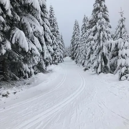 škrovanová