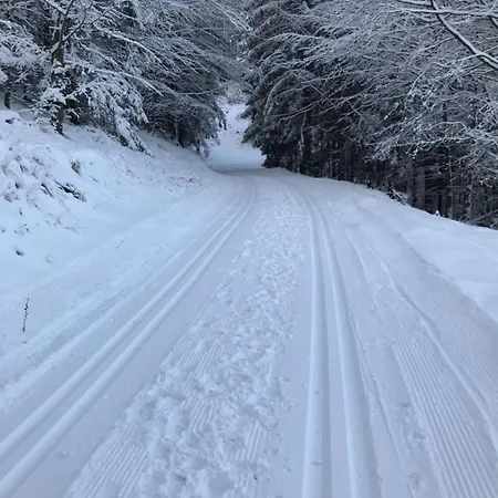 škrovanová