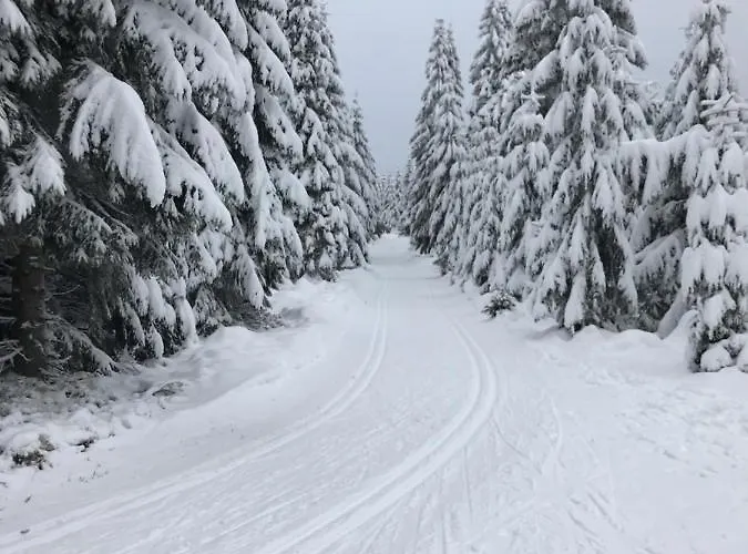 Skrovanova