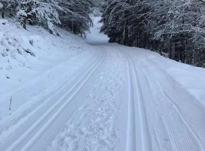 Skrovanova