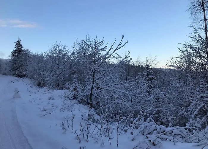Skrovanova *